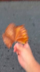 Jirafa unboxing 💩 . . . . . . #roblox #food #art #minecraft #robloxmemes #unboxing #robloxedits #fypシ #memes #meme #fyp #fypppppppppppppppppppppppppppppppppppppppppppppppppppppppppppppppppppppp #fypage #fortnite #fnaf | Trigongm