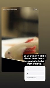 Museum of Science, Boston on Reels