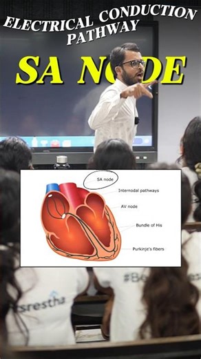 Electrical Conduction Pathway & ECG | Body Fluids & Circulation | Class 11th Biology NCERT | NEET