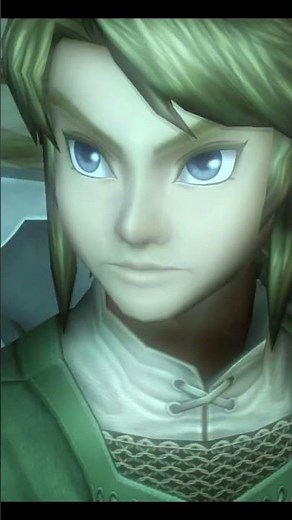 Zelda Twilight Princess Experience