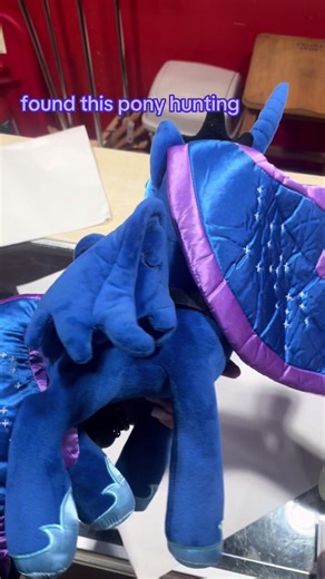 My Little Pony Thrift Treasure Hunt