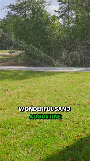 ❄️ Winter is the ideal time to prep your lawn. A pre-emergent fertilizer now helps prevent weeds and strengthens roots for spring.  And fine-tuning your irrigation in the winter keeps dry spots away when the heat returns.  Get your lawn ready for next season — call Faust Landscaping today! #FaustLandscaping #MontgomeryCountyTX #LawnCareTips #WinterPrep #HealthyLawn #IrrigationSystem #TexasLandscaping | Faust Landscaping LLC. | Facebook