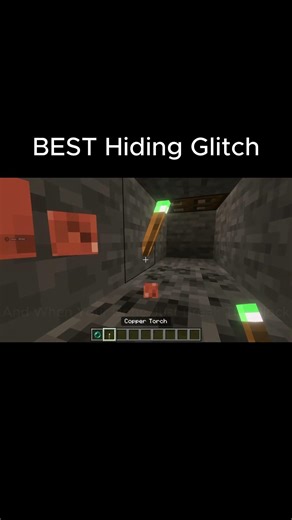 Best Minecraft Hiding Glitch! | Tutorial