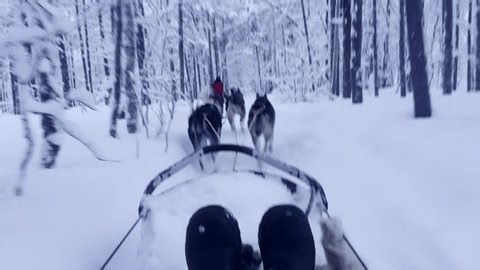 Dog Sledding Tours in Lapland Norway