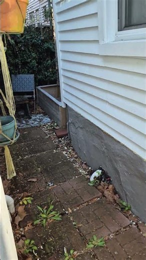 Touring Our Charleston Airbnb | The Perfect Tiny Backyard 参观我们在查尔斯顿的Airbnb｜超理想的小后院