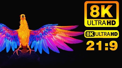 8K 21:9 ULTRA HD 自然界鸟类– A Cinematic Exploration in 8K UHD