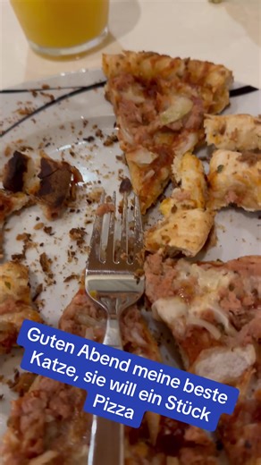 The Love for Pizza: Berlin's Feline Delight