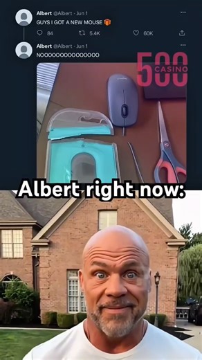 Means।Humour on Instagram: "Albert Right Now Meme . . . #memes #trends"