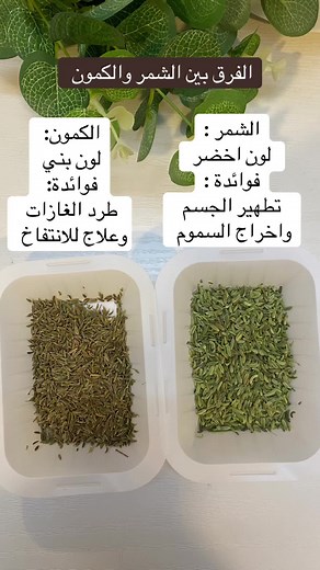 الفرق بين الشمر والكمون: فوائد واستخدامات
