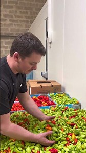 Our chili peppers have arrived 🌶️🔥
