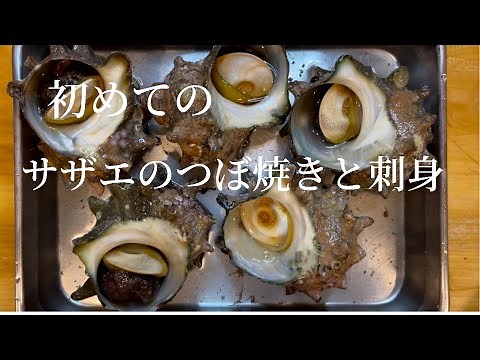 【サザエ】美味しい作り方の秘訣 下処理のポイント