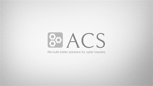 ACS Explainer