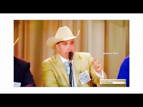 AUCTIONEER BEATS