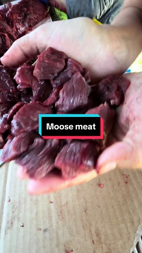 Cutting Moose for Meat: Community Involvement & Delicious Results