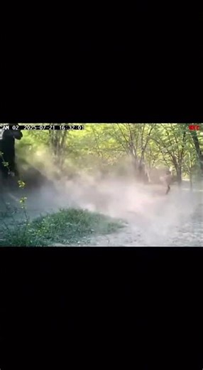 Trail Cam: Silverback Gorilla Intercepts Leopard! 🦍🐆 #PulseDrop