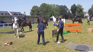 Special event celebrates 100 years of mounted police training - Horse & Hound