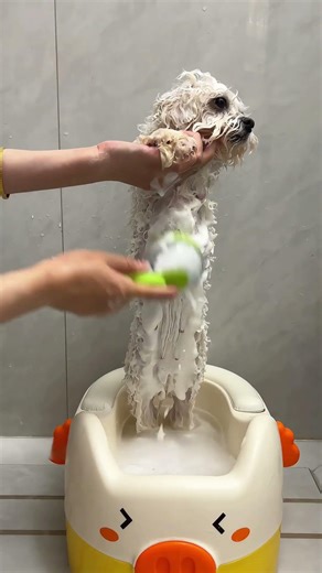 🐶 Bath time just got easy & fun! This grooming tool lets you wash your dog alone with zero stress!