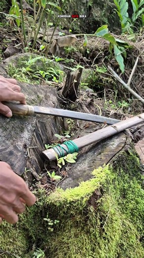 Magic moss becomes a hiding place for the magical keris