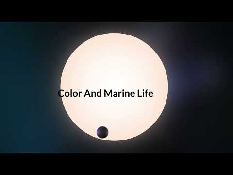 Incredible Underwater LED Lighting – Dive Deeper, Shine Brighter