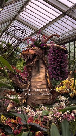 Kew Gardens Orchid Festival 2026: Celebrate 30 Years of Beauty