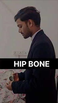 Hip Bone Anatomy #anatomy #muscle #doctor #pathology #physiotherapy #mbbs #hipbone #clinicalanatomy