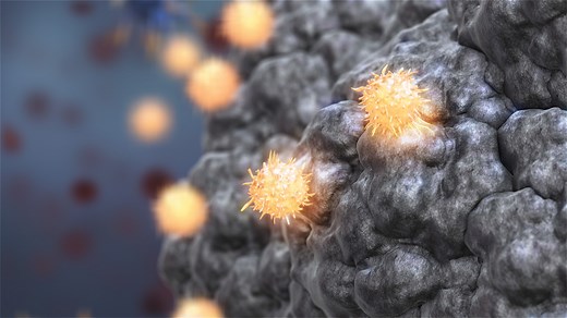 Mechanism Of Action for sipuleucel-T PROVENGE