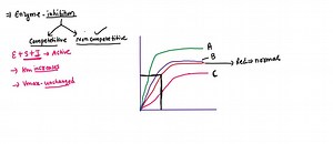 if the red curve indicates the normal reaction which curve on the following point graph is an example of non competitive inhibition 1 isubyralel a green curve b blue curve pink curve not eno 50638