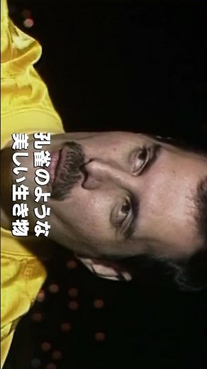 伝説の歌声は、今も世界を揺らし続ける。 #音楽 #人物 #伝記 #フレディマーキュリー