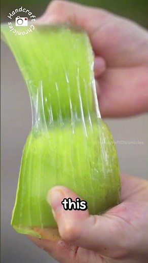 How Aloe Gel Gets Into Your Skincare!