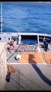 81K views · 255 reactions | Dropping anchor in the middle of ocean | How It’s Made | Facebook