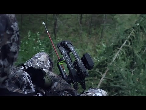 How To Hunt Deer In The Rain