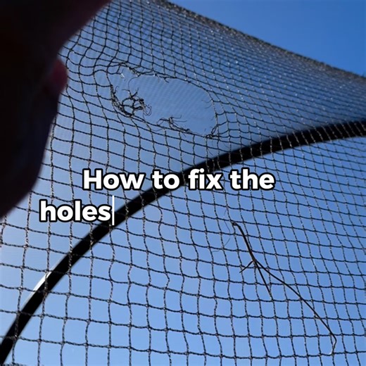 𝗗𝗼𝗲𝘀 𝘆𝗼𝘂𝗿 𝗻𝗲𝘁𝘁𝗶𝗻𝗴 𝗵𝗮𝘃𝗲 𝗵𝗼𝗹𝗲𝘀? Birds only need a small gap to get in. If your netting has a few holes, we’ve got repair cord and needles to help you patch it up and keep your fruit safe for the season. | Cowaramup Agencies