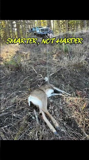 Work Smarter, Not Harder! 🦌⚡ Using a Winch for Deer Recovery