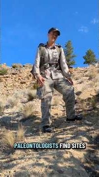 Fossil Friday with Chalfant Conley: How Do Paleontologists Find Fossils?