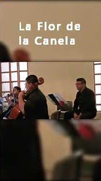 La Flor de la Canela (Chabuca Granda)