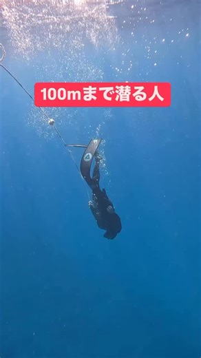 大阪 スキンダイビング/素潜り/ダイビング on Instagram: "素潜りは極めれば ここまで潜れる人がいる 世界レベルの人って 本当にすごい プールにてダイビングスキルアップ講習行ってます ご希望日があればお問い合わせください 2026年 野生の🐋クジラ達に会いに行きませんか？ ホエールスイムin奄美大島ツアー 2月27-3月2日🈵確定開催 https://ecoblueocean.jp/diving/ EBO (EcoBlueOcean) 大阪市中央区西心斎橋1-6-4 蔵人アメリカ村ビル3階 ※お店は完全予約制のためご来店の際は事前にご連絡ください"