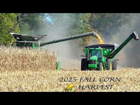 JOHN DEERE S680 COMBINE HARVESTING CORN 🌽 WITH 12 ROW CORN HEAD 2025 FALL HARVEST SEASON