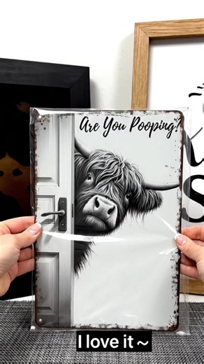 Highland Cow Home Decor Ideas for Every Room