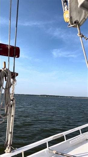 Windy day on the Choptank River #sailing #cambridge #boating #skipjack #sailboat #woodenboats