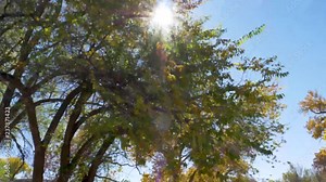 Ground footage of the Rio Grande Nature Center in Albuquerque NM