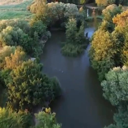 Thank You for a Great Season 💙 As November comes to an end, we want to say a huge thank you to all the anglers and families who visited Horsham Lake this year. Your support means the world to our small, family-run lake. Here’s to many more calm mornings and exciting catches ahead 🎣💙 #ThankYouAnglers #HorshamFishingLake #FishingCommunity #KentFishing #CarpFishingUK #FamilyFishing #OutdoorLifeUK | Horsham Fishing Lake