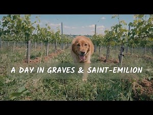 Graves & Saint-Émilion Wine Tour – Ultimate Bordeaux Experience