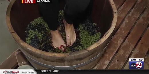 Wet Whistle Wine Fest wine stomp preview