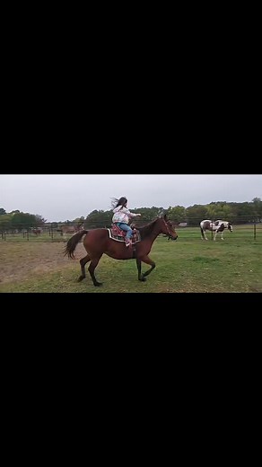 Come join the fun! Book your lessons now! Horseback riding lessons make awesome Christmas Gifts!  We also do birthday parties/events  Message us for a fun horsey experience. | Logan's Legacy Horsemanship | Facebook