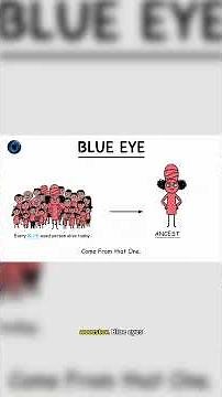Blue Eyes — The Genetic Accident??