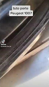 problème porte Peugeot 1007 solutions