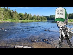 *Me Finding Out About Wonderlab 2 Days Later*