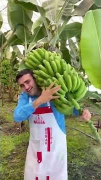 Burak Özdemir Turkish Chef Cooking Amazing Best Food 2021