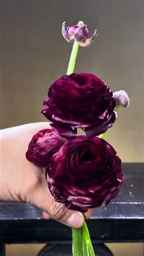 Light rain, new flowers, new thunder, Jingzhe begins, Jingzhe solar term, flower arrangement exp