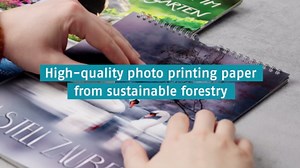 Cool pig - Funny sayings calendar with funny little pigs, US-Version (Wall Calendar 2026 DIN A4 Portrait), CALVENDO 12 Month Wall Calendar